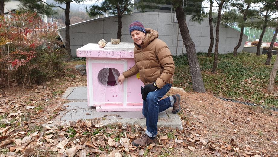 외국인 교수의 따스한 길냥이 사랑 이미지