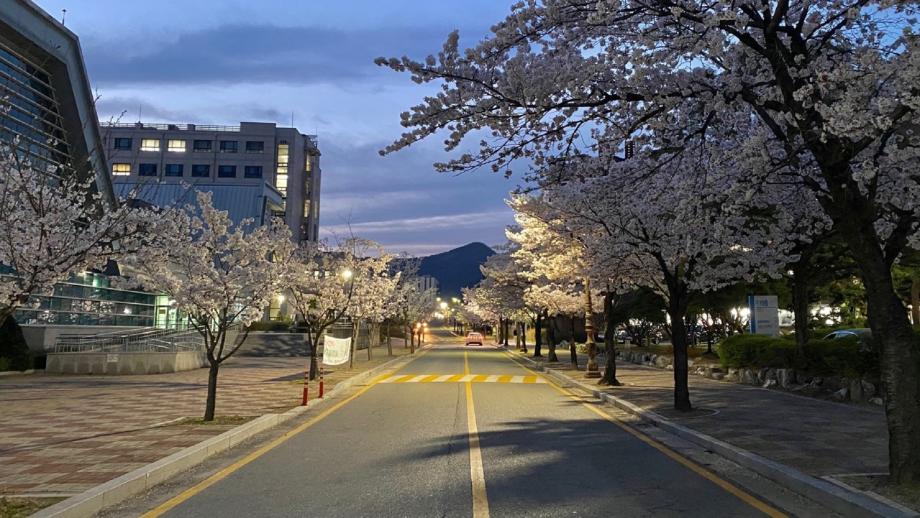 2021_한밭의 보랏빛 밤 이미지